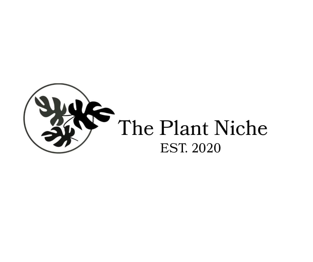 The Plant Niche