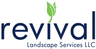 Revival Landscape 
