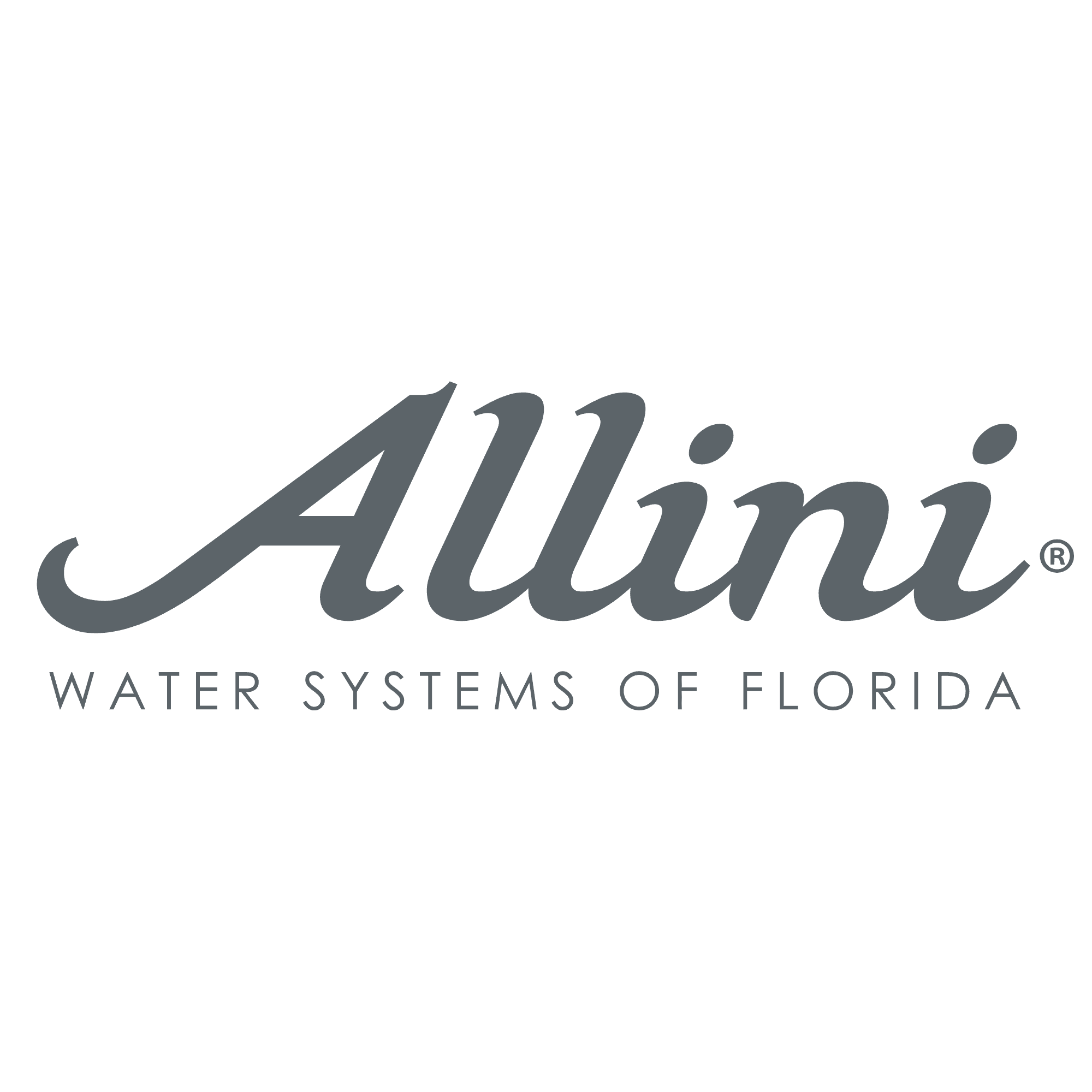 Allini Water Filters 