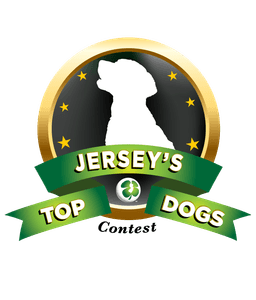 New Jersey Lottery